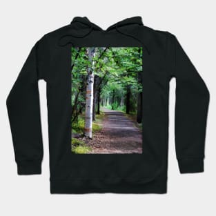 Into the Woods Hoodie